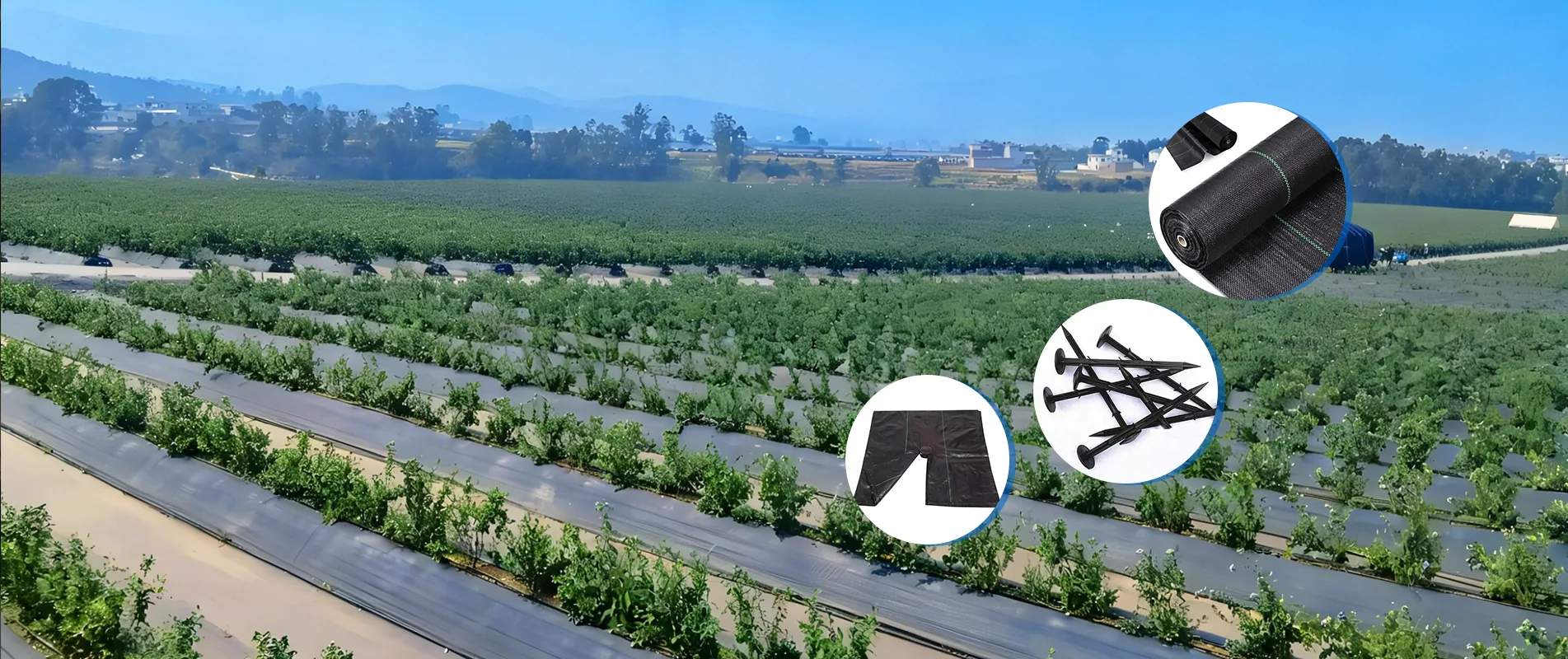 Kina Weed Barrier Stof Producent