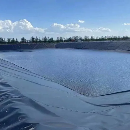 Akvakultur fiskedam Geomembran