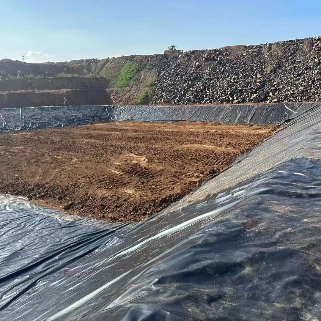 Reservoir Vand Opbevaring Geomembran