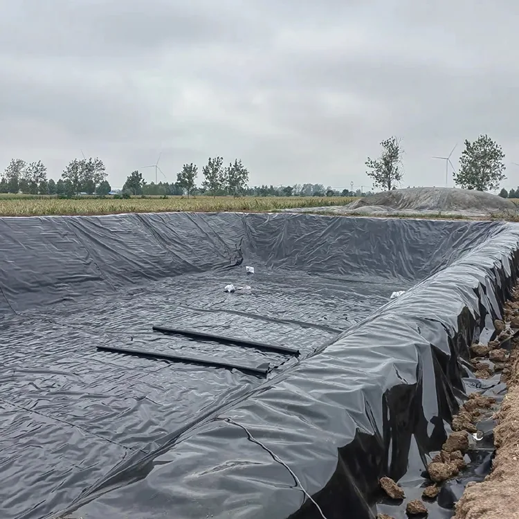 Biogas Digester Geomembran