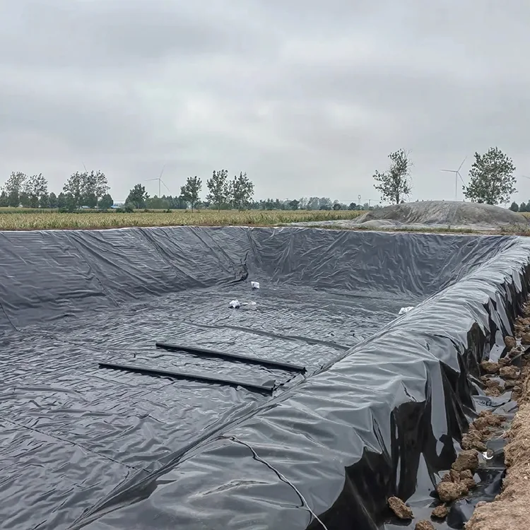 Fish Pond Geomembrane Liner