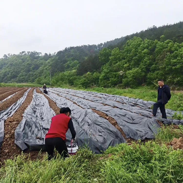 UV Stabilized Garden Weed Barrier Fabric
